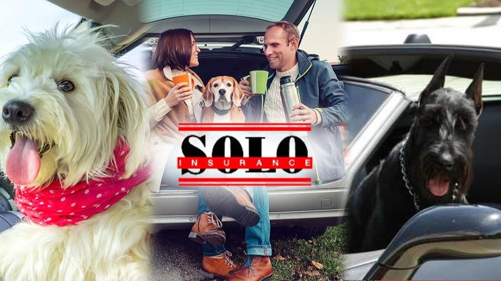 Solo Insurance®